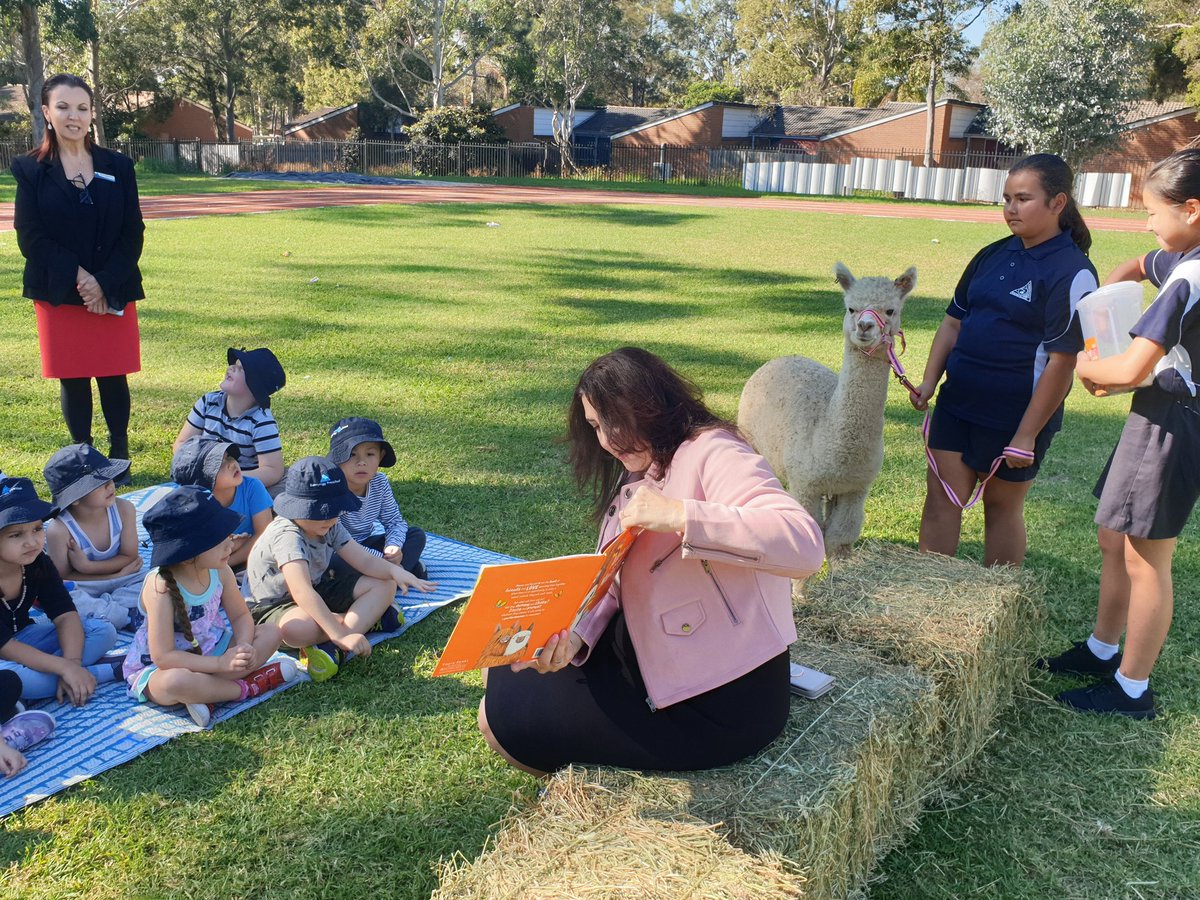 BecWest81's tweet photo. National Simultaneous Storytime @Bonnyrigg_PS with our director @MSiokos reading to the preschool students and our alpacas 🦙📙
Does it get any better than this?!
#greatplacetowork @NSWEducation @lyndall_hayton @Ly_Huynh_ @deanlove86 @dizdarm @mscott https://t.co/mHXrqB3mnl