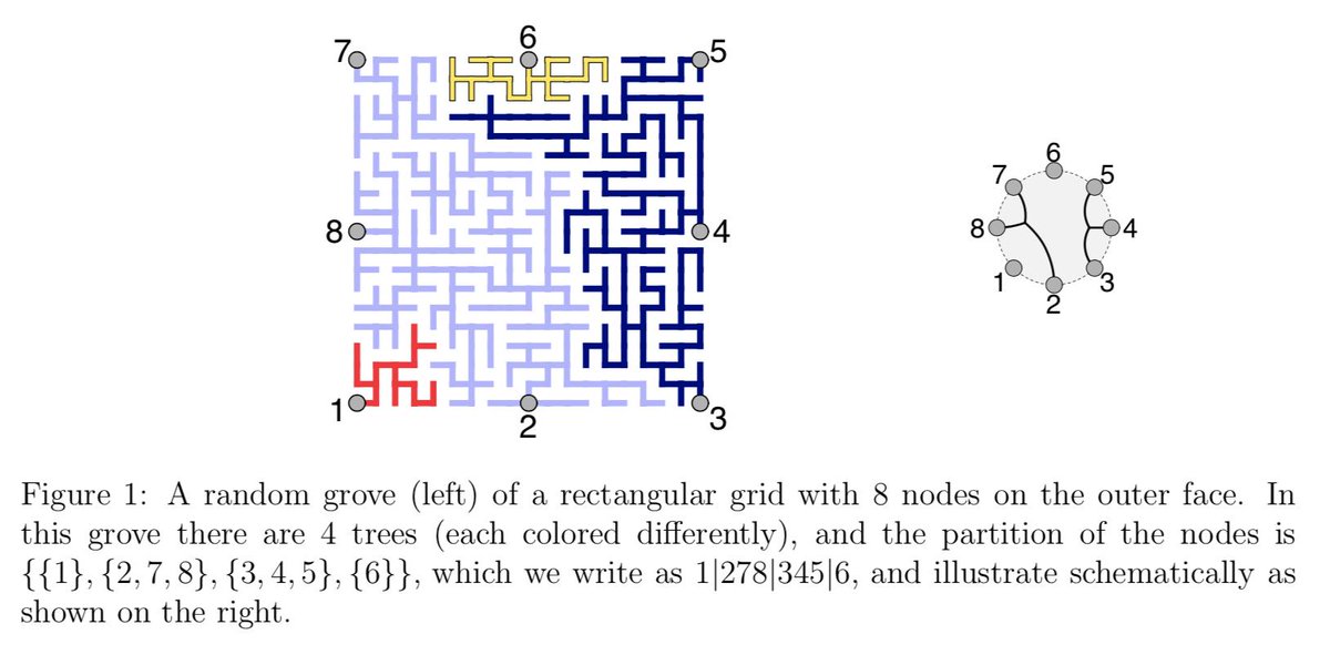 Figure 1 of Kenyon and Wilson's "Boundary partitions in trees and dimers"