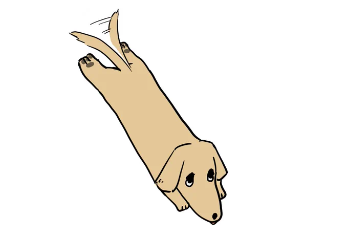 飼ってた犬のことを急に思い出した 