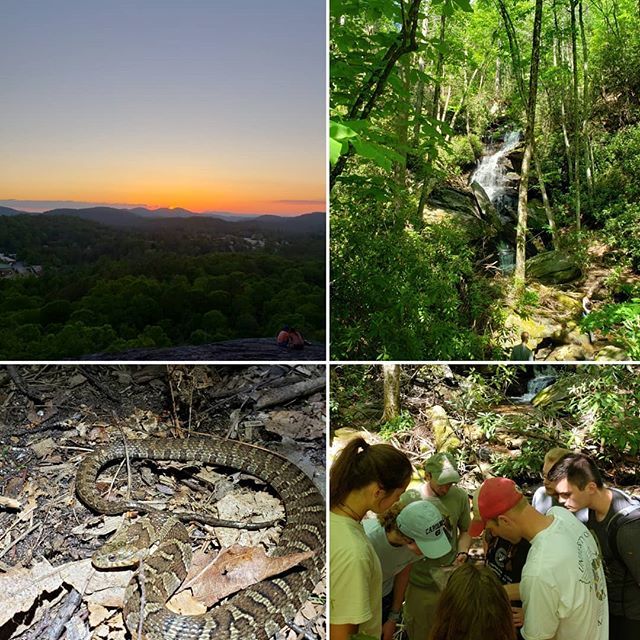 Philip Gould, Ph.D. tweet media