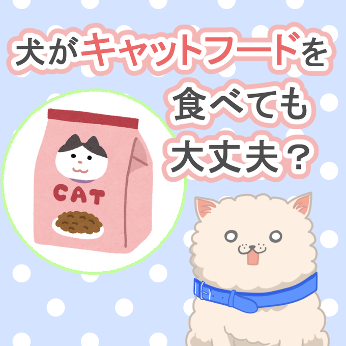 ドッグフードのtwitterイラスト検索結果 古い順 ドッグフードのtwitterイラスト検索結果 古い順