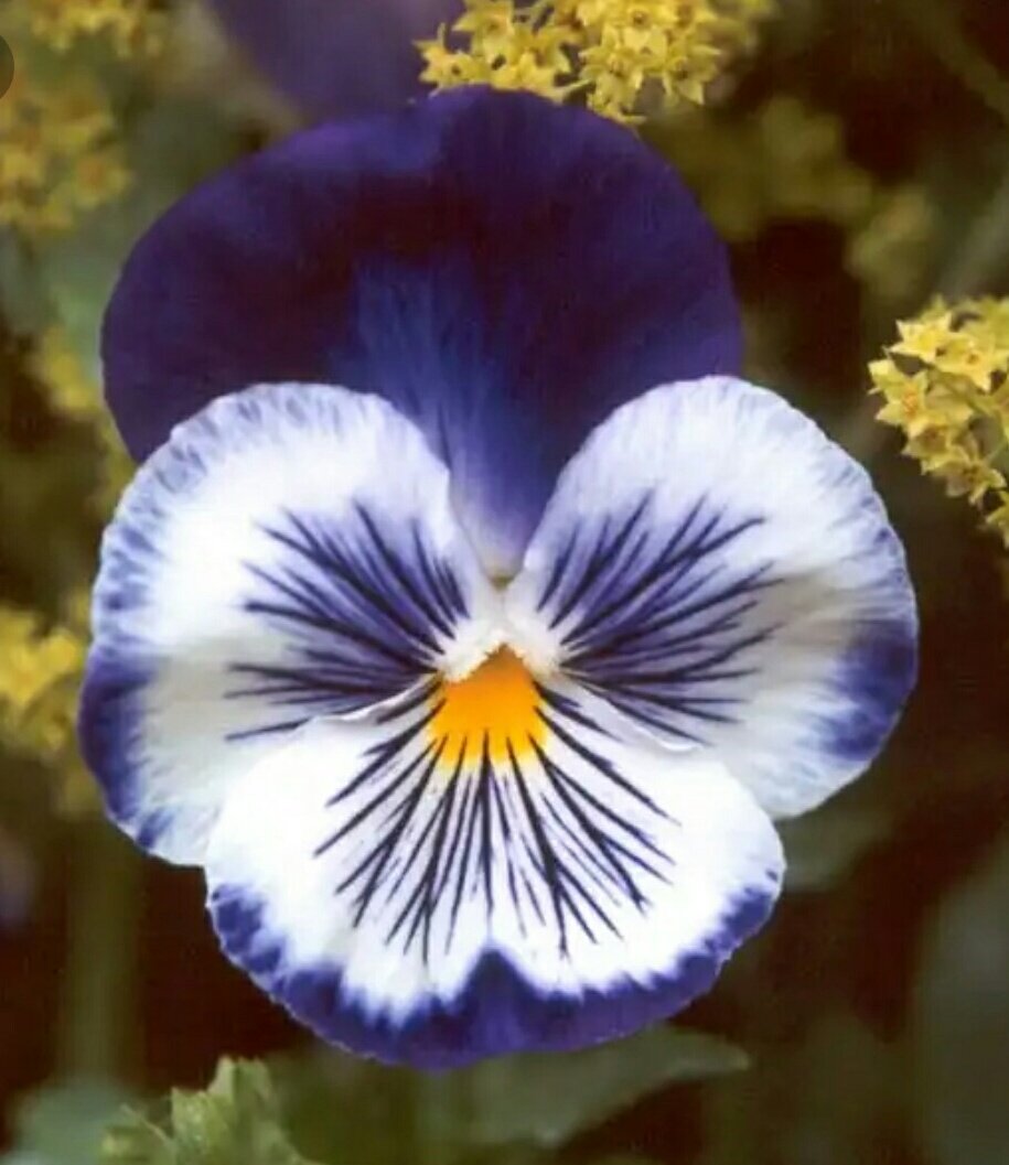 Cambia tu suerte
con sólo un pensamiento
De tí depende

#BuenosDías 
💜🌼💛🌼💜