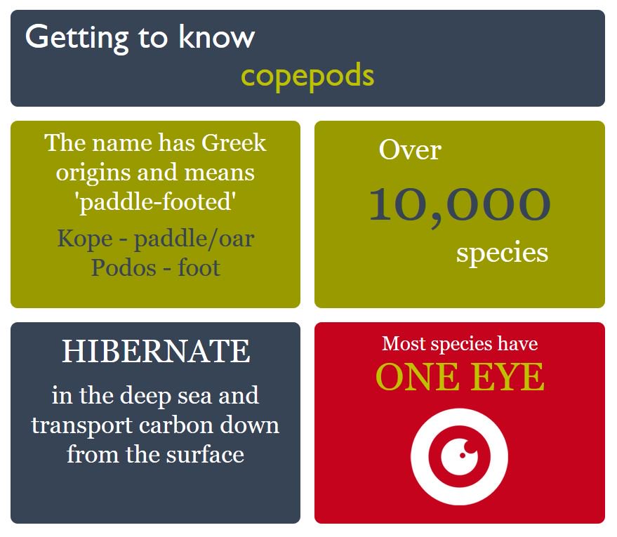 jimmcquaid's tweet image. We know how valuable insects (and birds) are as pollinators, but have you heard about the humble #copepod? No me neither, they are the unsung heroes of the ocean @HollyEJenkins tells @NERCPlanetEarth nerc.ukri.org/planetearth/st…
@NERC_CAO #DIAPOD #UKinArctic @NERCscience