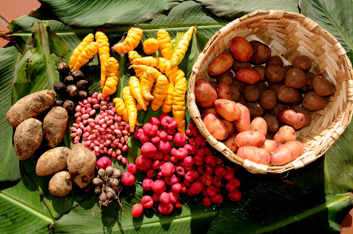 #Biodiversität ist unverzichtbar für unsere Ernährung und Gesundheit: Tiere bestäuben 75% der Nutzpflanzen, 70% der Medikamente gegen Krebs sind natürlich oder von der Natur inspiriert. Wir sind daher weltweit der größte Geber für den Erhalt von Vielfalt. #BiodiversityDay