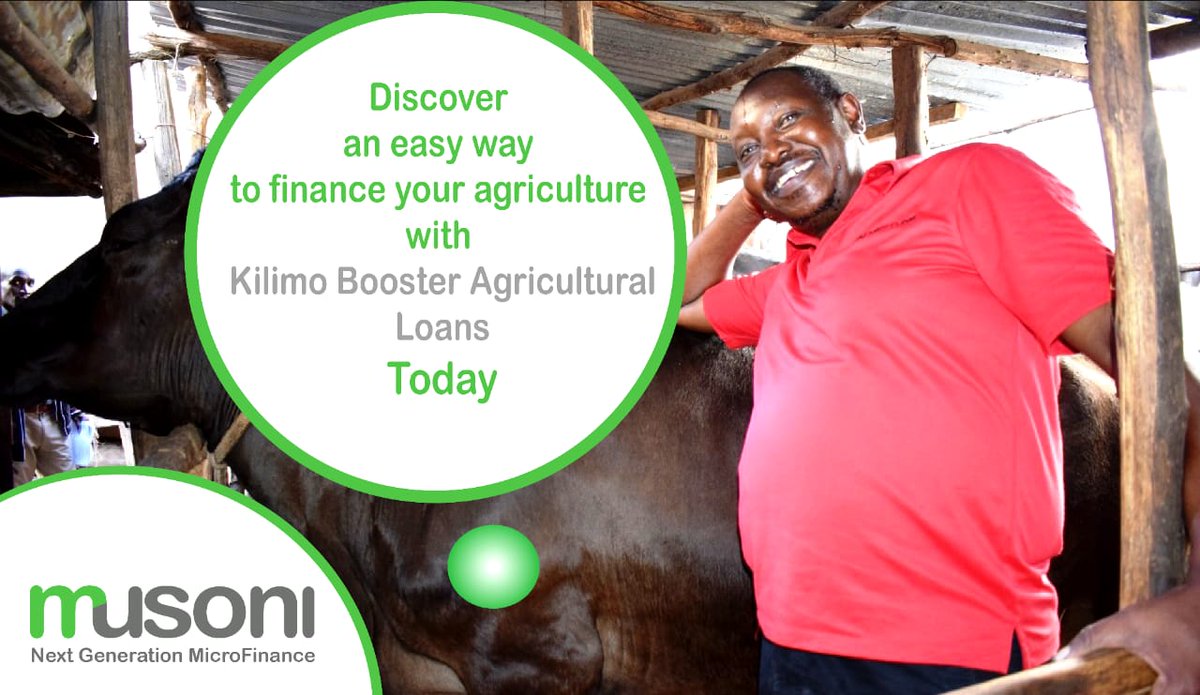 Wondering where to secure flexible, instant, cashless and innovative #financialservices? Wonder no more. <a href="/MusoniKenya/">Musoni Microfinance</a> we guarantee fast, simple and flexible finances to suit your #Agricultural needs. Get and #agriculturalloan by dialing *646# or Calling 0709-761111 today.
