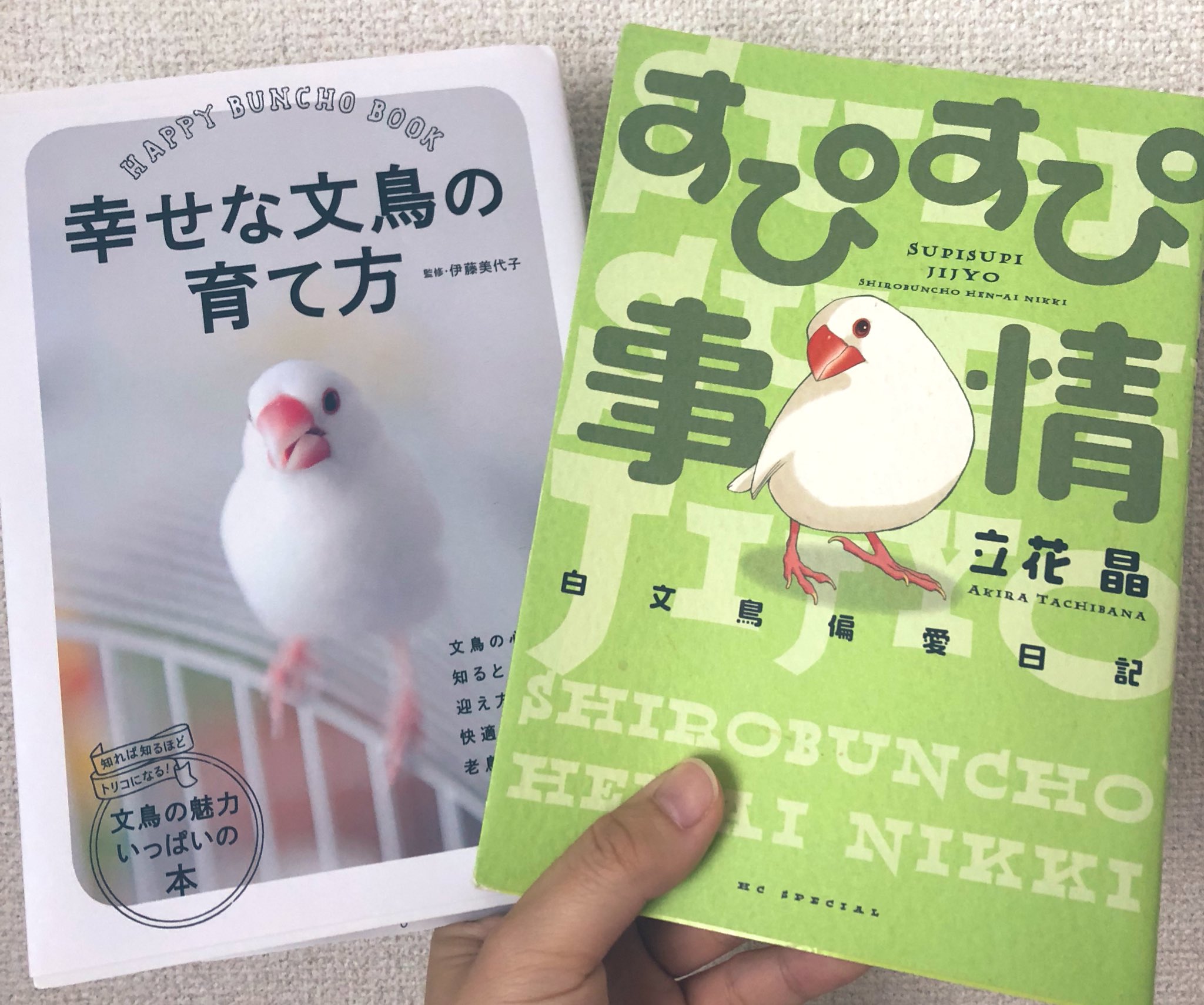 文鳥 In 夏から婚約者との同棲がスタートしますが まだらぶちゃんに会わせたこともなければ 文鳥のこともよく知りません 新生活はこれらの本を読んでもらうことから始めよう 文鳥 幸せな文鳥の育て方 すぴすぴ事情