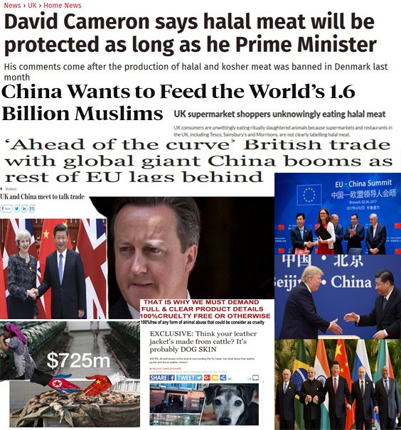 as long as discrimination against animal lovers is tolerate,anti dog propaganda is encouraged2cover dirty political trading exemptions,trading deals signed with countries with no or poor animal welfare&amp;consumers R mislead2pay4animal torture unwillingly-there is no party to vote4