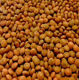AzizOdabasi1's tweet photo. #GenesisSeed Tohumculuk, 2015 yılında, Diyarbakır 3. OSB’nde, yıllık 22.000 bin ton işleme kapasitesine sahip Türkiyenin en yeni ve modern Tohum Eleme ve Paketleme tesislerinden birini faaliyete geçirmiştir. Başarılı ve özverili çalışmalarından dolayı firmamızı kutlarım. https://t.co/nXJDYgRSbo