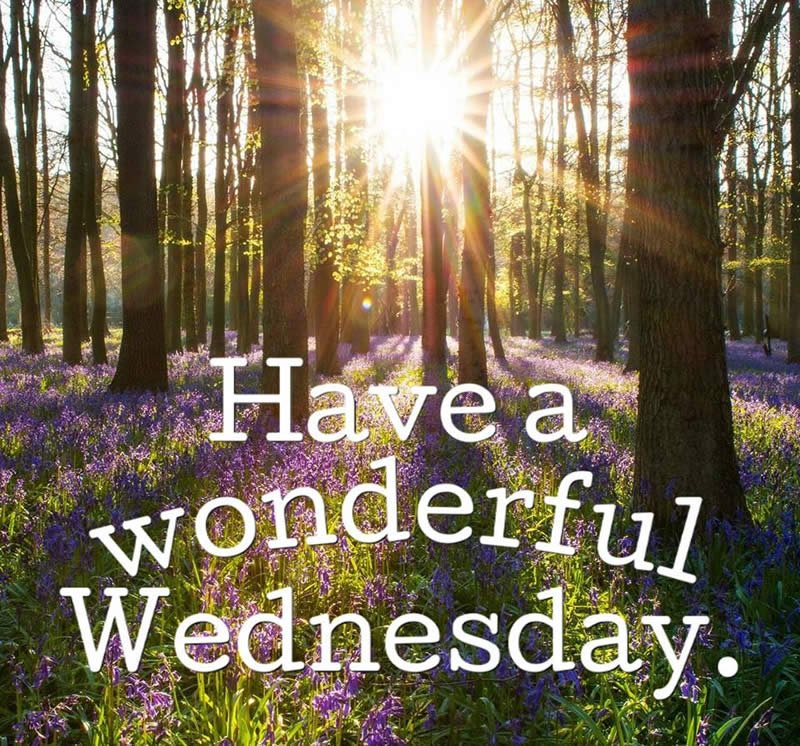 overbetting wednesday quotes overbetting wednesday quotes