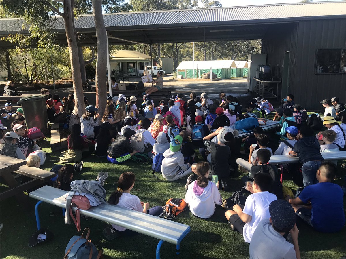 xela_k's tweet photo. #NSS2019 at Year 5 school camp today... #alpacaswithmaracas #nevertooold #Year5camp #atchpsthisweek #GreatAussieBushCamp https://t.co/d9uQuI8Q23