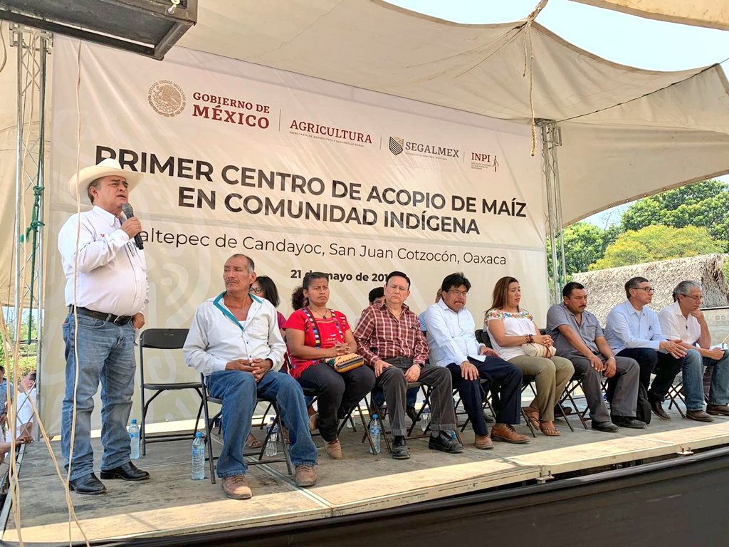 SEFADER_GobOax's tweet photo. En representación del Gdor. @alejandromurat, el Srio. Carlos Grau junto con el Director de @Segalmex_Mex, Ignacio Ovalle inauguraron el 1er. Centro de Acopio de Maíz en Jaltepec de Candayoc, Mpio. de San Juan Cotzocón. Se busca beneficiar a pequeños productores de granos básicos. https://t.co/ch50iFvzIV
