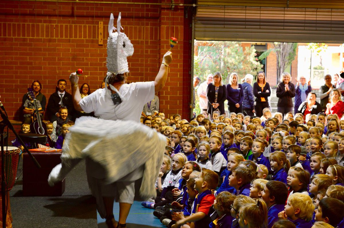 Look out humans there’s another mammal with musical talent! 
Vasse Primary School was visited by a friendly Alpaca this morning! It came to celebrate National Simultaneous Storytime and promote the value of reading and literacy. #AlpacasWithMaracas #NSS2019 #1MillionKidsReading