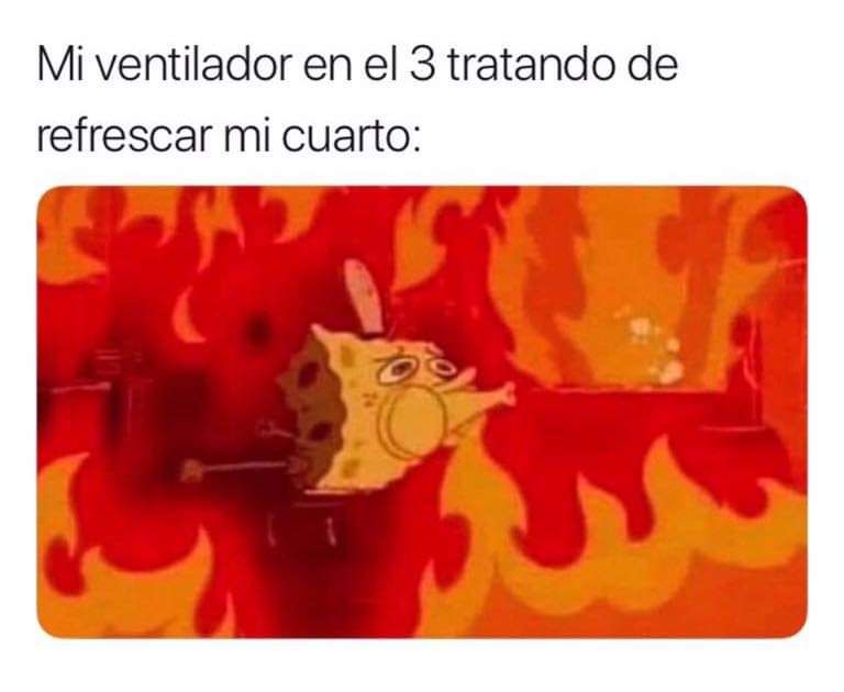 RivasDro's tweet photo. 😂😂😂 https://t.co/XFZkxkLwvD