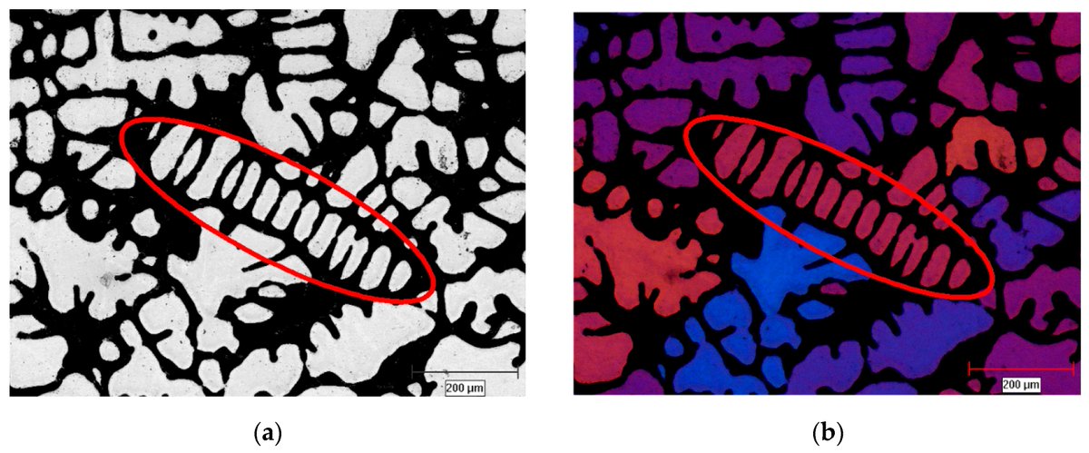 Metals_MDPI's tweet photo. #mdpimetals Welcome to read the new paper of SI: #Semi_Solid Processing of #Alloys and #Composites 
"A Comparison between Anodizing and #EBSD Techniques for Primary Particle Size Measurement" from our GEs Dr. Shahrooz Nafisi and Prof. Reza Ghomashchi. See https://t.co/sf2OmVfg7n https://t.co/OC1ravSZeq