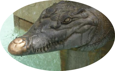 Premier tweet des Cadres Croco 7 Collines regroupés au sein de pole emploi 7 Collines 
Offreurs de services !
@DurandSerj  @pole_emploi @Poleemploi_oc <a href="/ApecOccitanie/">@Apec Occitanie</a>