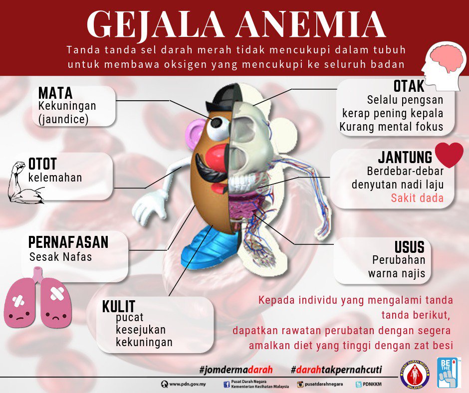 Apa saja gejala gejala anemia