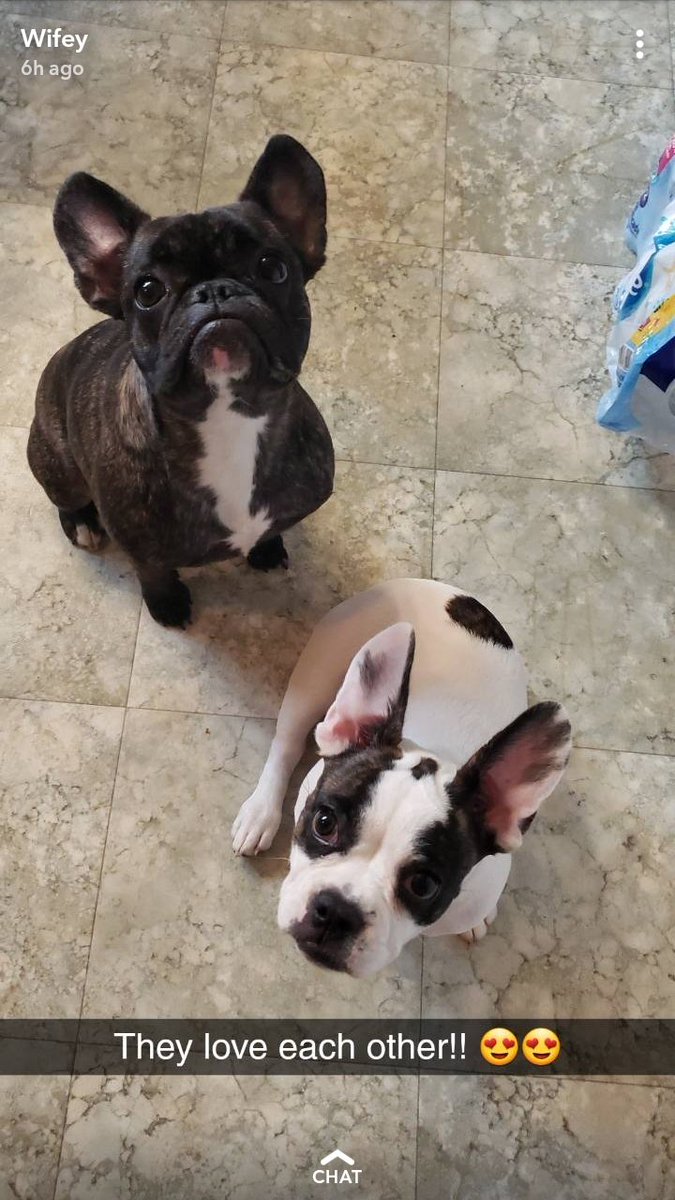 Cortez (@cortez0074) on Twitter photo 