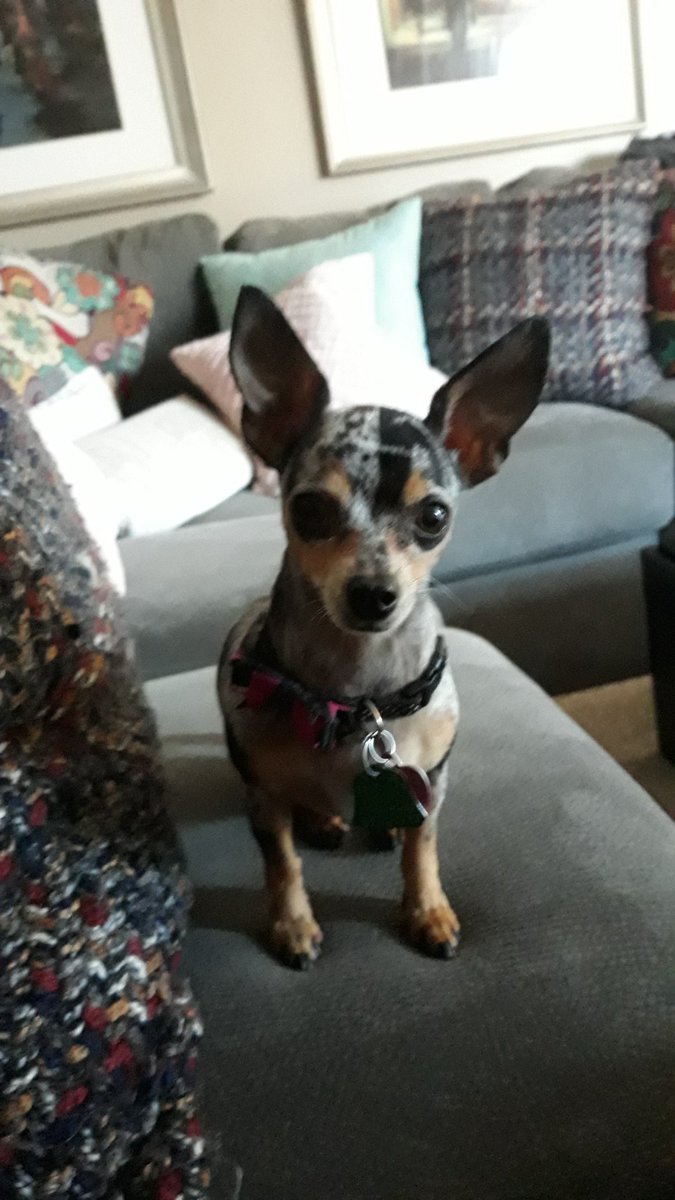 Cortez (@cortez0074) on Twitter photo 