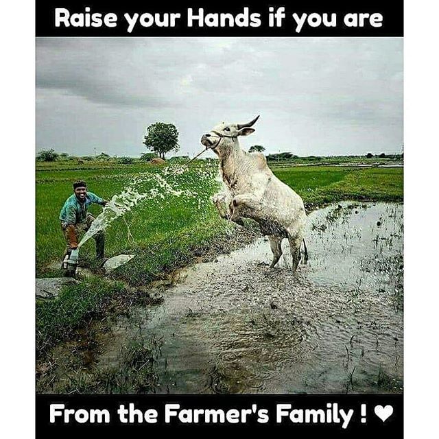 FerrumAgro's tweet photo. .
Farmer's Family... .
Follow 👉 @agro_organic
For Organic Post.
.
.
.
#organicpost #royalenfield #kidgrowkit #agroorganic #nature #grow #vegan #fruits #health #music #dance #love #friendship #motivation #art #artist #painting #quoteoftheday #organicf… https://t.co/Iy7XnAOTpH https://t.co/FvyFH1PFNp