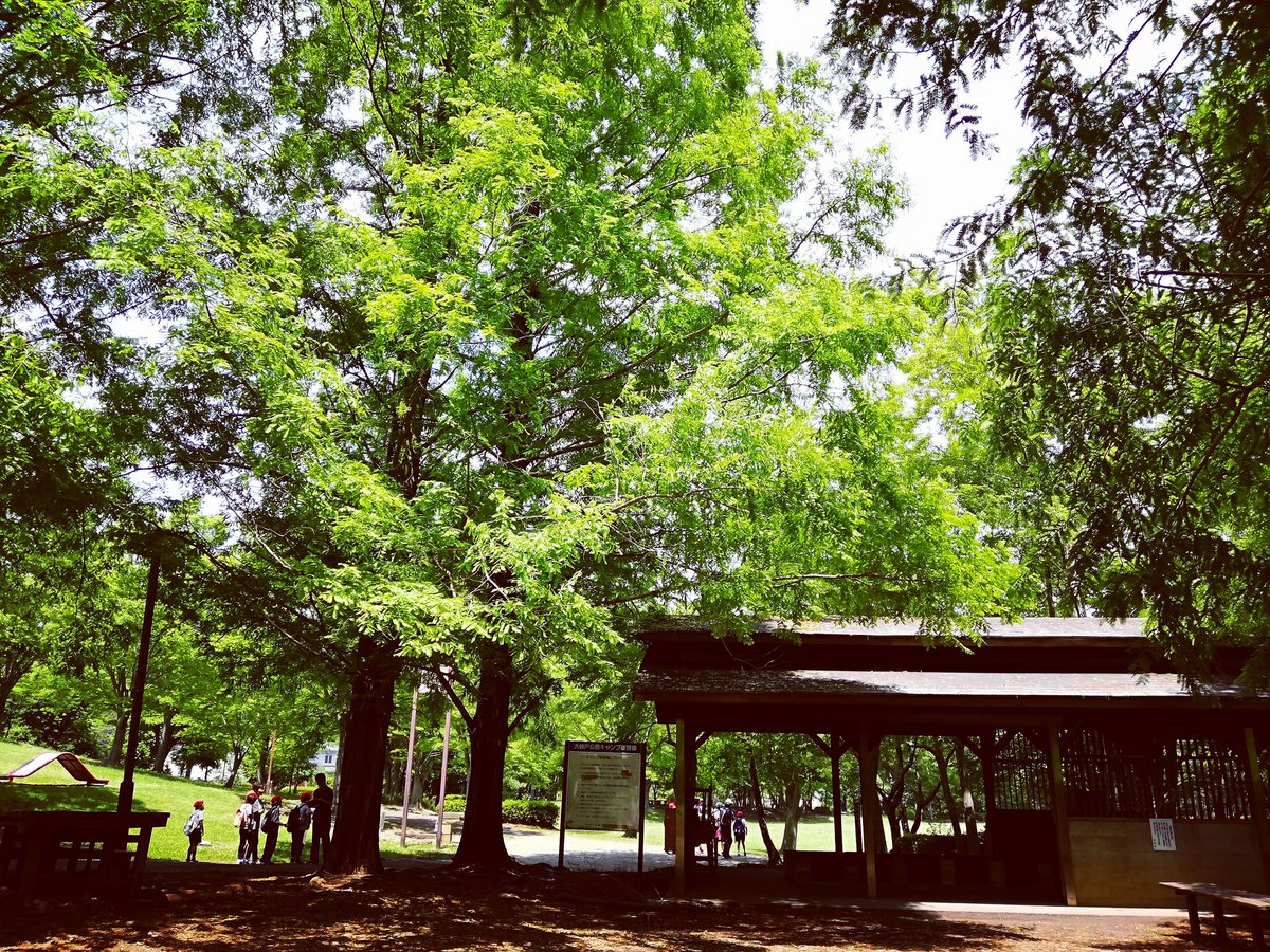 Uzivatel 多摩 永山タウン たま ながやまタウン Na Twitteru 大谷戸公園 気持ちいい天気ですね 日向は暑いくらいですが 木陰は涼しくさわやか 公園と緑を楽しみましょう 多摩市 永山タウン 大谷戸公園 多摩市広報部員