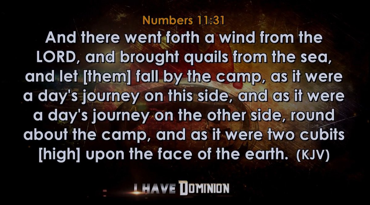 WinnersChapelNL's tweet photo. #OpComeAndSee Covenant Hour of Prayer (#CHOP), WEDNESDAY, MAY 22ND, 2019 - PRAYER POINTS | Winners' Chapel International - The HOME Of SIGNS & WONDERS, Worldwide | #DivineGuidanceGatewayToAWorldOfExploits | #WinnersAt38 | #Year2019 #IHaveDominion |: https://t.co/qQZoiAWPig