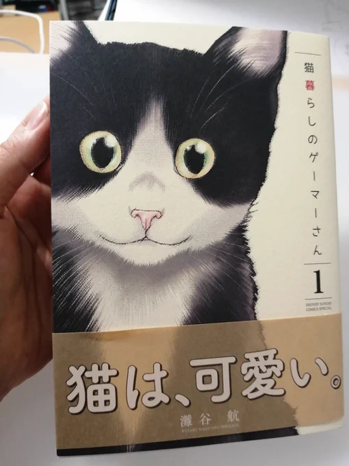 『猫暮らしのゲーマーさん』単行本の表紙の紙質めっちゃ良い!可愛い、オシャレ!コレがあるから紙媒体は良いんだよなぁ…
中身も可愛いから見て…! 