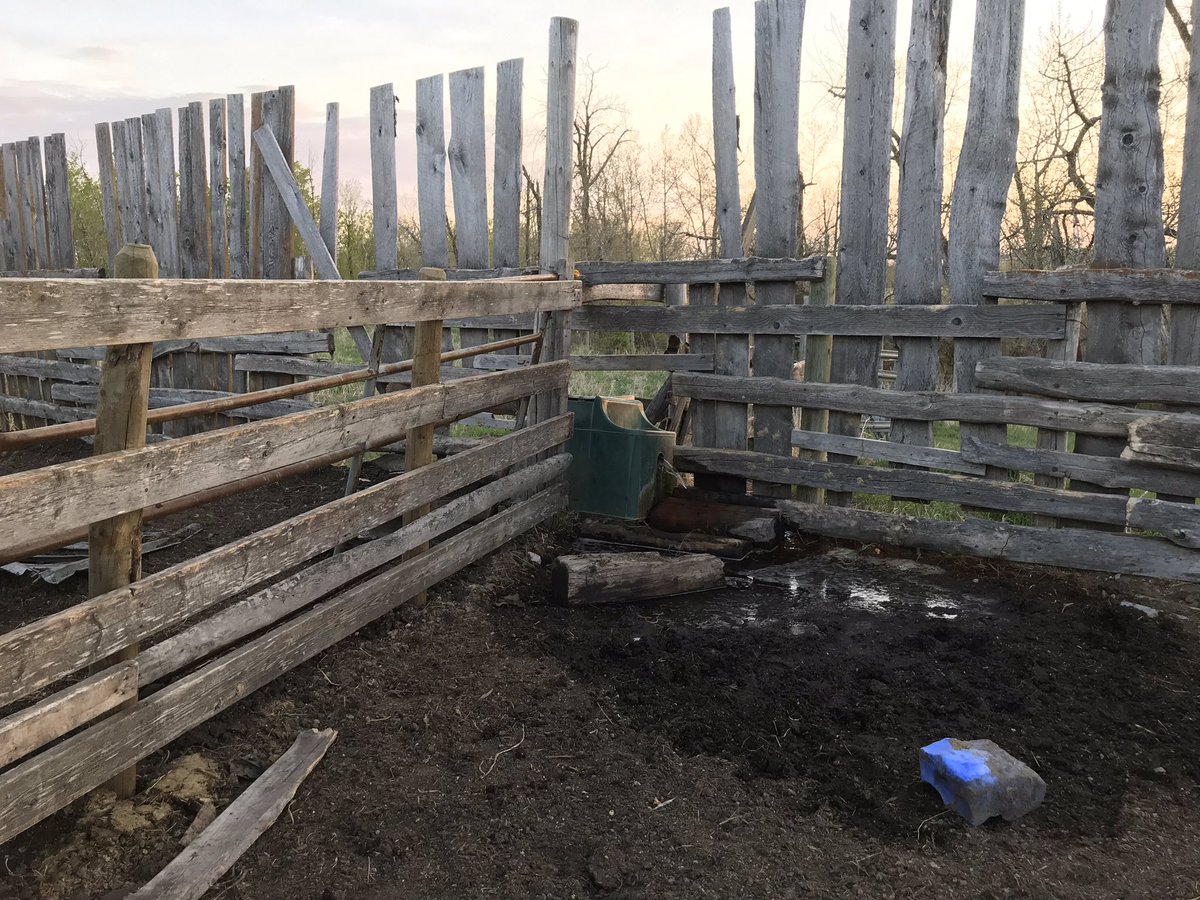 Annette33783991's tweet photo. Fun day-tire came right off and to top off bulls wrecked watering bowl running full force!! #ranchlife #alwaysfixing https://t.co/RUgGUu9XpB