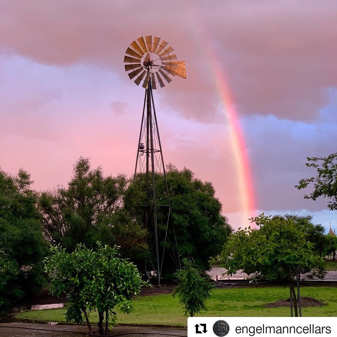 FCwine's tweet photo. We're swooning over the views at #EngelmannCellars this evening. #rainydaymood⁣ #fresno https://t.co/J1WmUfupXq