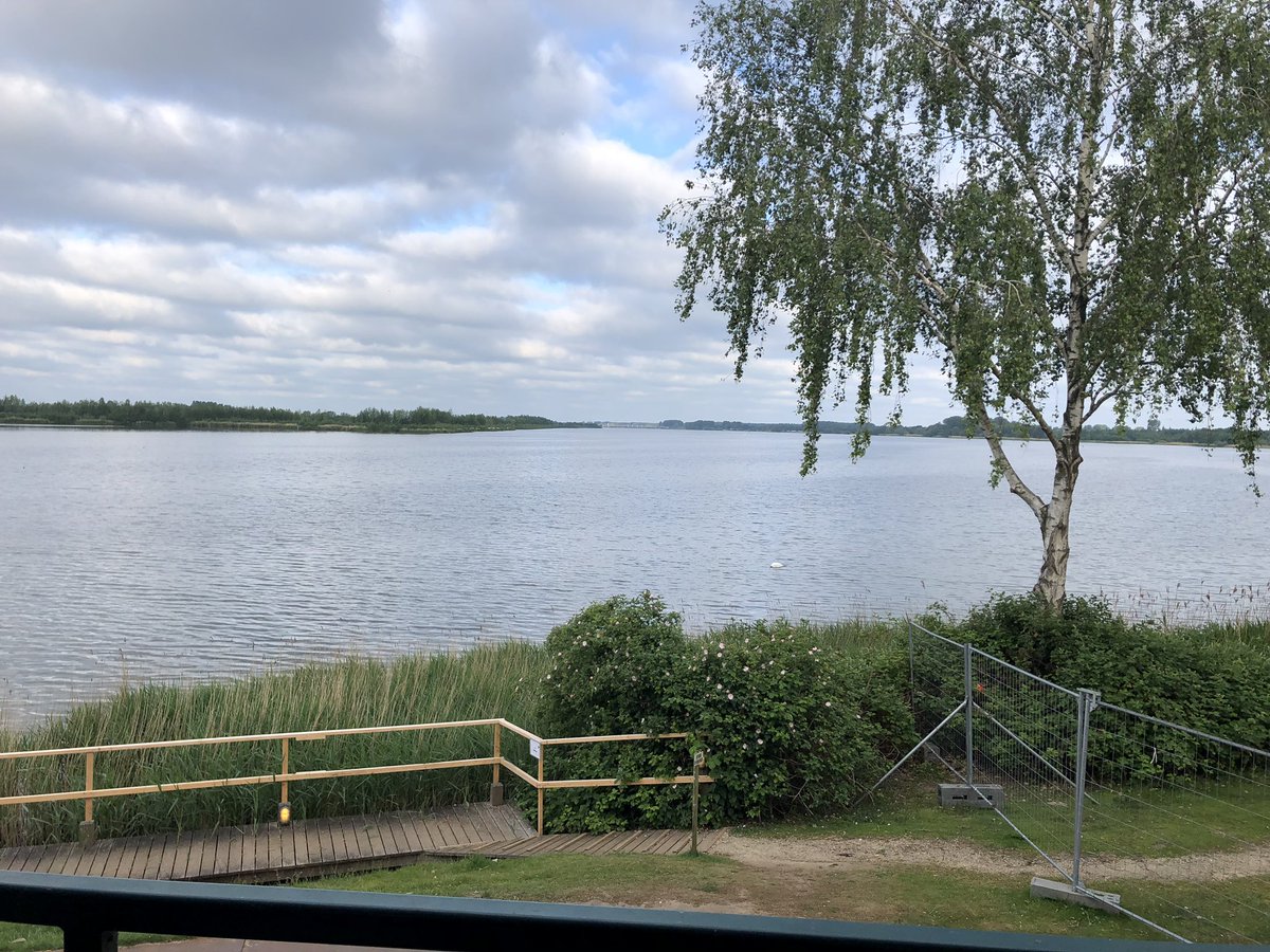 Pink Coat tweet media