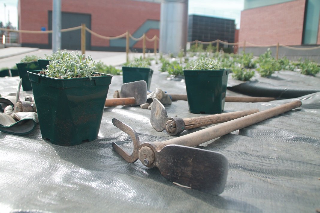 En el Dia Mundial de la Biodiversitat cal insistir en la importància d'anar canviant el gris pel verd a les indústries. A l'#ETAP #SantJoanDespí no ens aturem <a href="/aiguesbcnclient/">Aigües de Barcelona</a> @suezES #BiodiversityDay