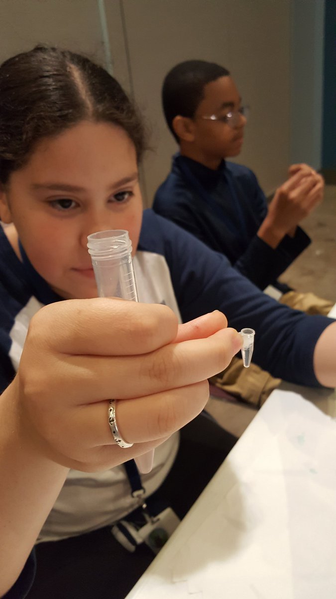 ChanDrJP's tweet photo. @WellsWolverines GT scholars are budding scientists in the DNA lab.
#WellsWolverines
#DrRLong3
#SpringISD
#SpringISDMiddle https://t.co/Xd8caIes99