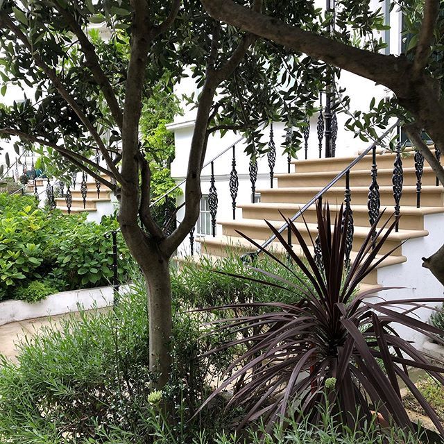 mccormacknoble tweet media