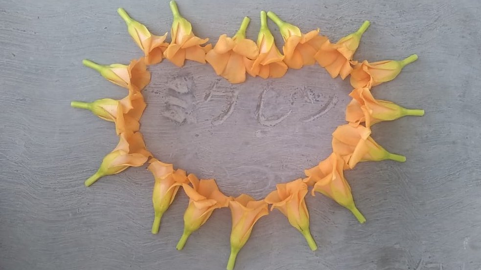 Intenté escribir los nombres, hice lo posible para que se entendiera y estoy feliz porque creo que lo logré.

Espero que duré por mucho tiempo, el día 19 de octubre se cumplirán dos años desde que los escribí.

#ミクレン