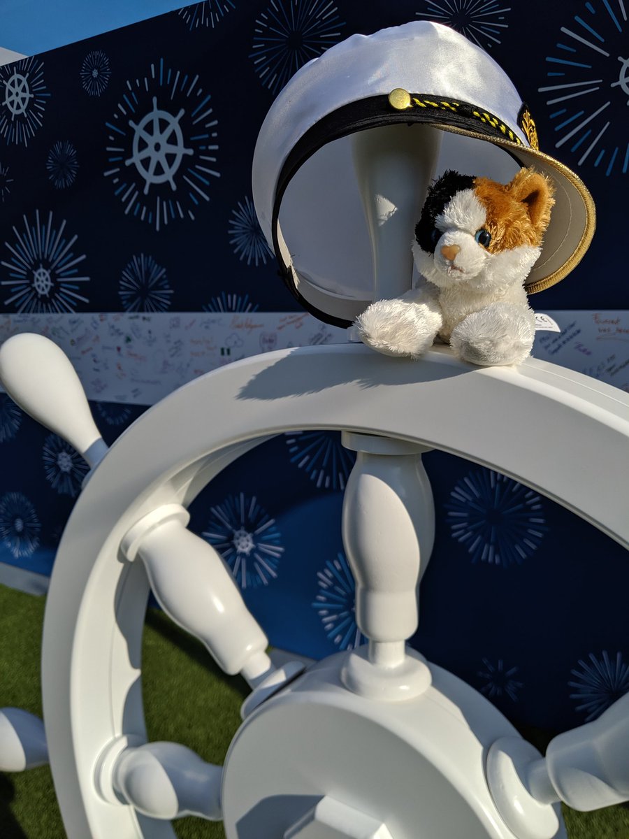 fasaxc's tweet photo. Captain Felix, always on the lookout @KubeCon_ @tigeraio https://t.co/nc1Wvr7EOK