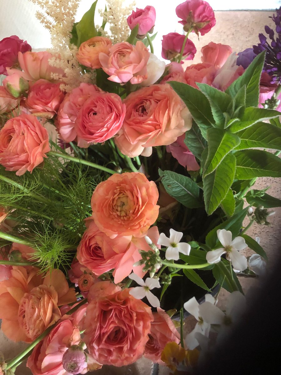 Rosebud flowers tweet media