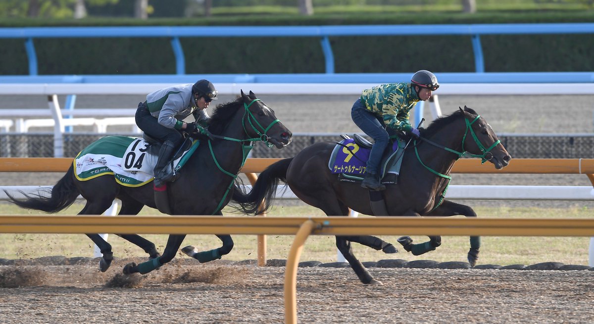 大阪サンスポレース部 ダービー追い切り サートゥルナーリア は今週もウオッカの子供 タニノフランケルと併せ馬です 角居厩舎を巡るダービーを考えれば これ以上ない追い切りでしょう 日本ダービー サートゥルナーリア ウオッカ 角居厩舎 大阪サンスポレース部 ダービー追い切り サートゥルナーリア は今週もウオッカの子供 タニノフランケルと併せ馬です 角居厩舎を巡るダービーを考えれば これ以上ない追い切りでしょう 日本ダービー サートゥルナーリア ウオッカ 角居厩舎