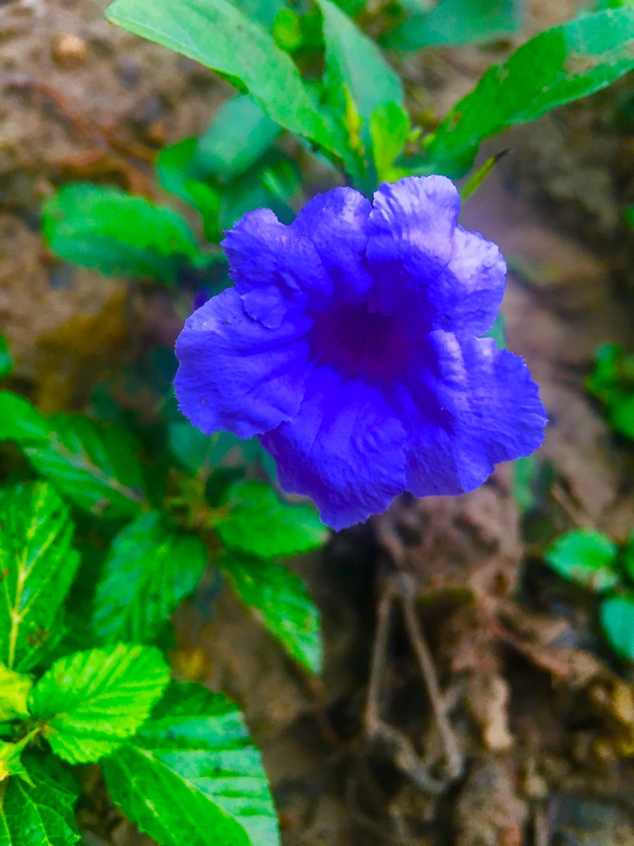 ACincinnat's tweet image. Lovely