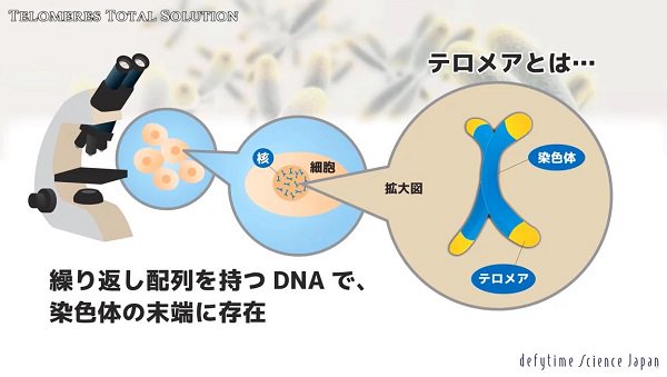 テロメアコイン Twitter Search Twitter