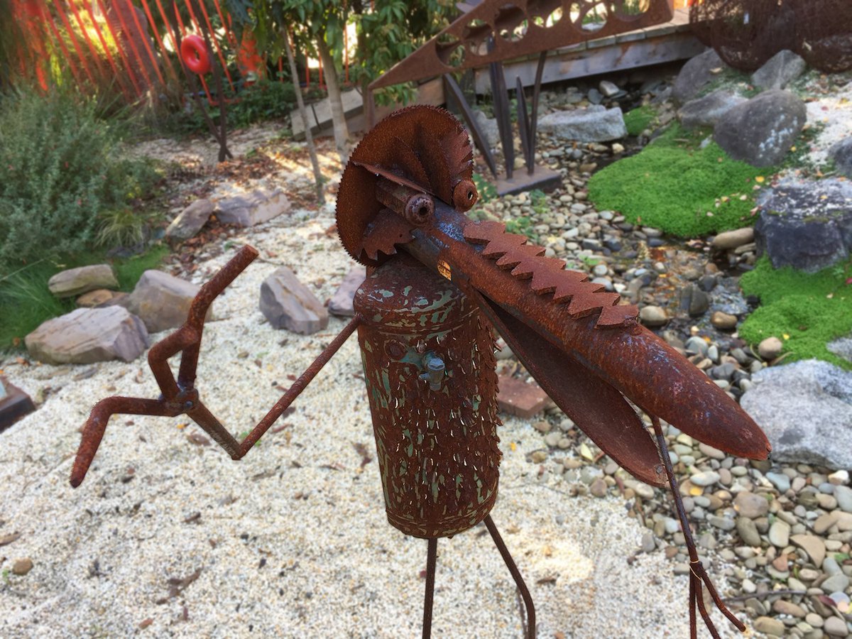 baagcommunity's tweet photo. Are you talkin' to me?
Big Talker by Tim Read would look amazing in YOUR garden! https://t.co/H8UvvNXNEF