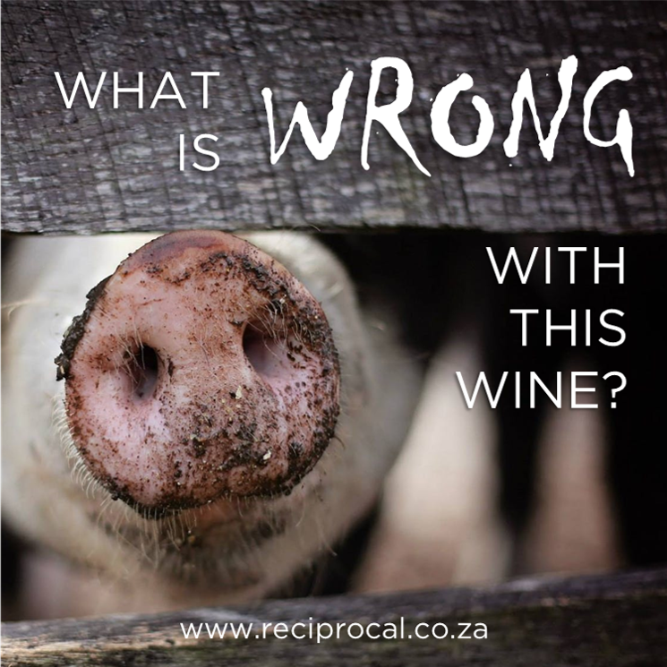 ReciprocalWine's tweet image. ☠️ A wine tasting not to be sniffed at (pun intended) ☠️
--&amp;gt; mailchi.mp/reciprocal/rec…

#wine #winetasting #winefaults #wineeducation #johannesburg
