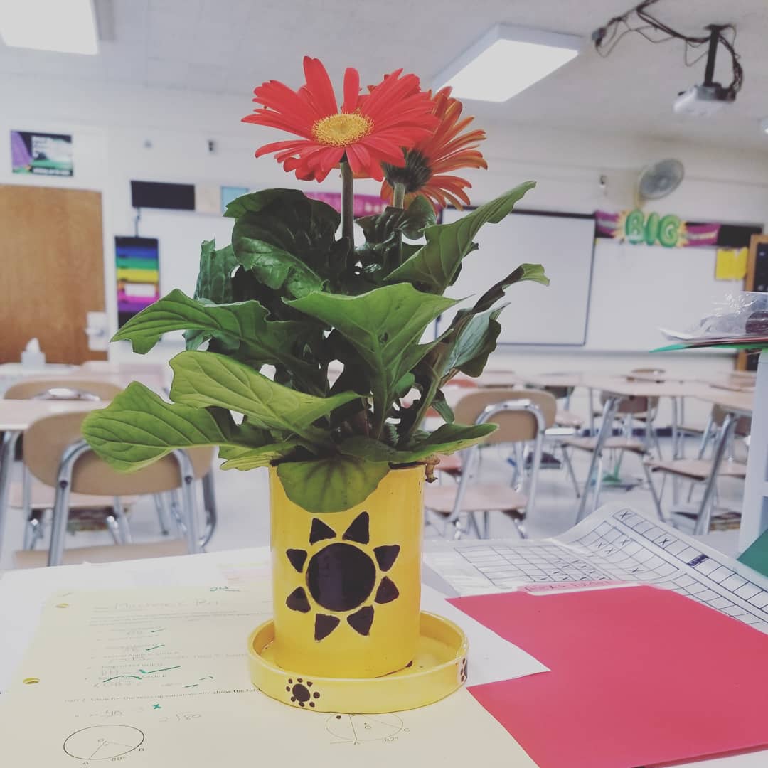 Bethany Parsons tweet media