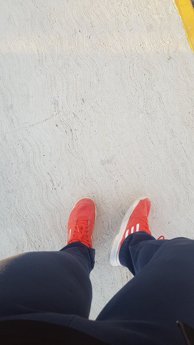 FelyMizuki's tweet image. Cerdo no me llames cerdo, mueve tu puerco. #cardiotime