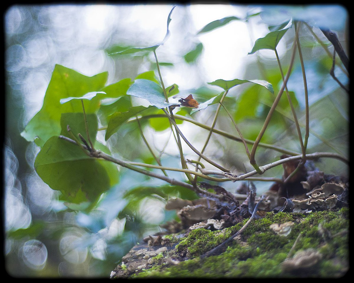 Number 27 on the Penge Art Trail map is the KENTWOOD CENTRE Bromley Adult Education College, exhibiting wonderful art created by the students. baec.ac.uk <a href="/BromleyAdultEd/">Bromley Adult Ed</a> #art #se20 #penge #painting #illustration #bromley #sydenham #beckenham