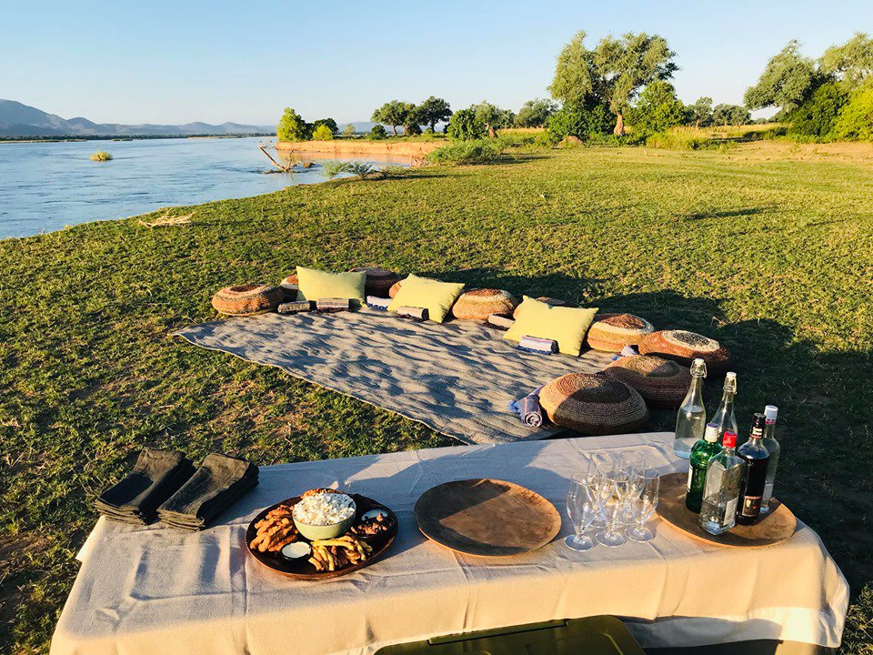 AfricanBushCamp's tweet photo. Feeling a little peckish?
#LiveInCamp: Our guides at Nyamatusi know how to spoil our guests. PLUS, we have the best picnic spots in Mana Pools π
Just one of the many reasons to visit Nyamatusi: https://t.co/uHDCwVjGzk
#VisitZimbabwe #Africa #Travel https://t.co/aqD8XLQH7f