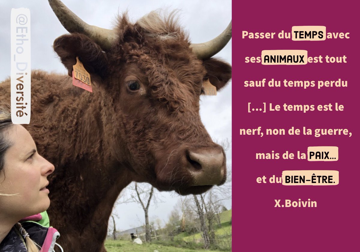 Etho_diversite's tweet photo. Qd la Recherche est très complémentaire à l’élevage...
#ethologie #ethology #inra #recherches #scientifiques #relationhommeanimal #elevage #eleveur #ferme #bienetre #bea #formation #formatrice #chambreagriculture #adear #civam #lycéeagricole #mfr #comportementaliste #fragritw https://t.co/tLFZqJYB7Q
