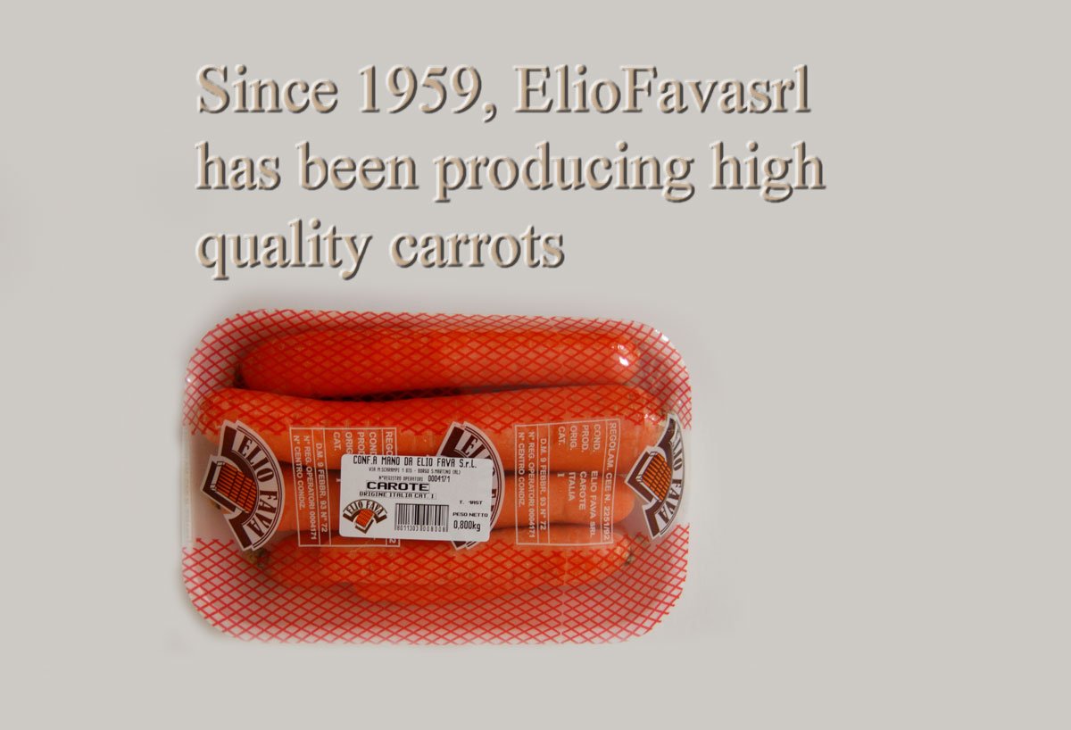 ELIO FAVA SRL CAROTE tweet media