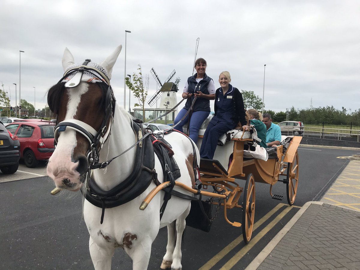 RGN-Team tweet media