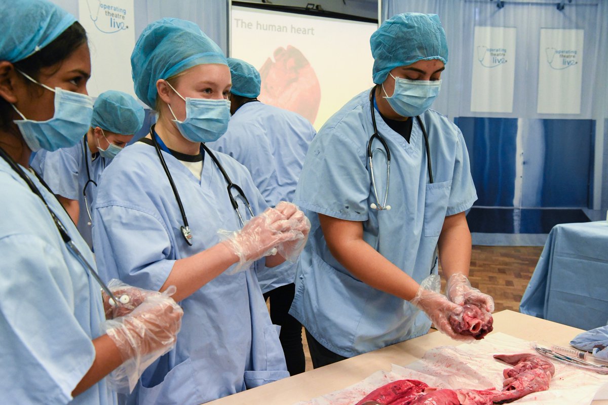 medsocevents's tweet photo. Book onto our exciting and utterly gruesome Operating Theatre Live in Hackney @PetcheyAcademy next Wednesday 29th May 2019. See what it is like working as a world class surgeon and learn dissection techniques #Hackney #EducationMatters #anatomyanddissection https://t.co/F8FE5LFBYN