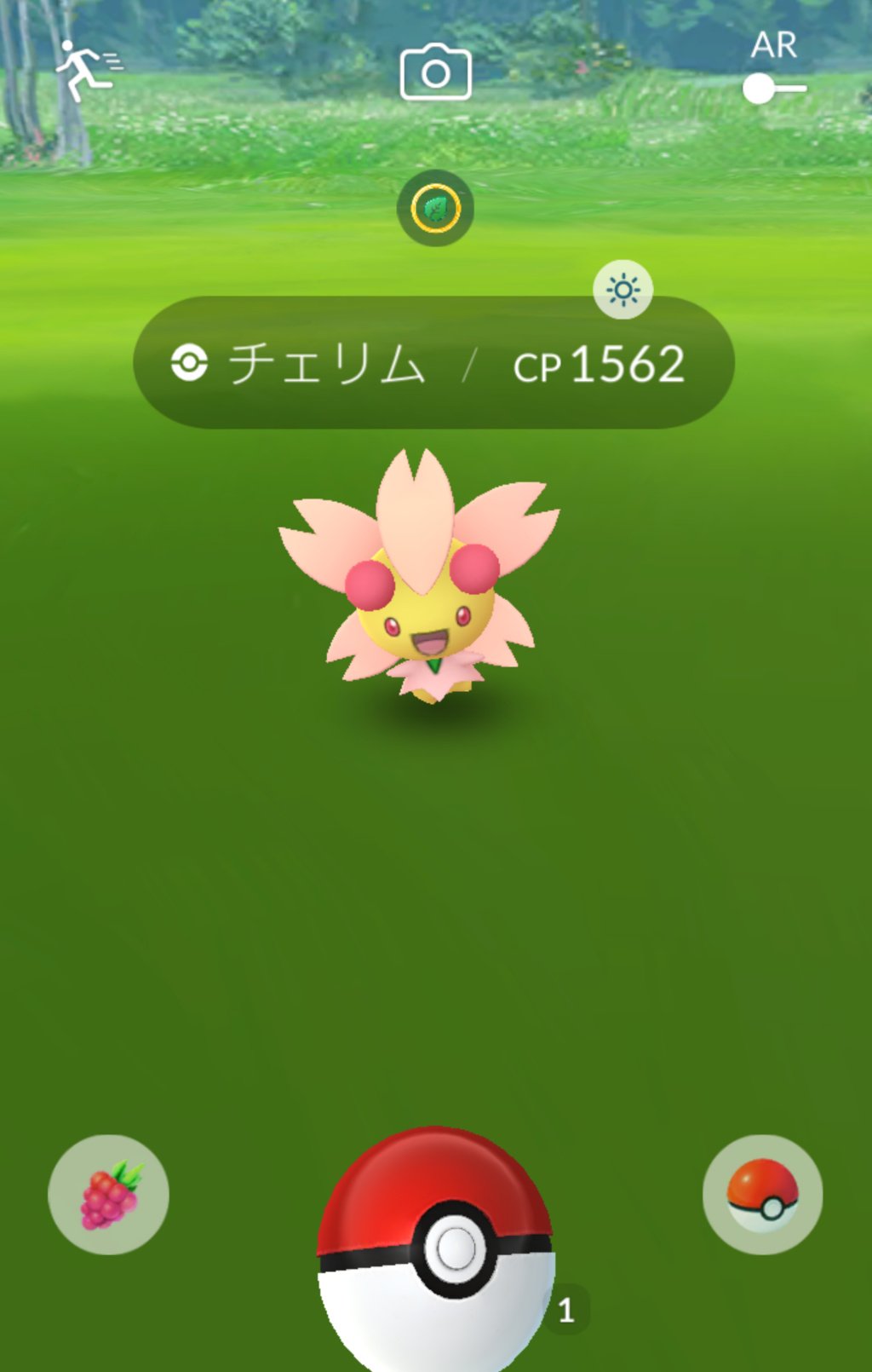 ポジフォルム Twitter Search Twitter