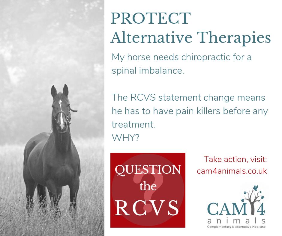 CAM4animals's tweet photo. Imagine this is YOUR horse. Are YOU happy to lose your choice? The RCVS has no solid evidence to ban alternative veterinary therapies - so it's time to ask them WHY?
Visit our website for all the relevant contact details: https://t.co/HMfyfVqV5g
#QuestiontheRCVS #CAM4animals https://t.co/RSPB2DNr3Z